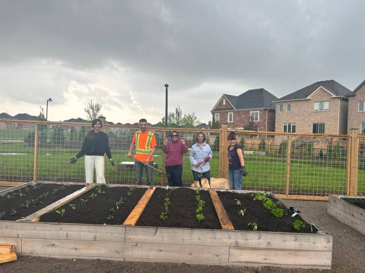 Our Community Garden Has&nbsp;Sprouted!